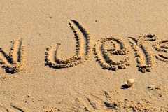 Header-image-2