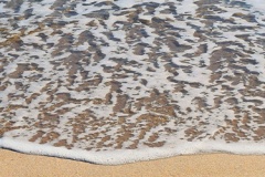Header-image-5