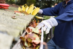 gutter-cleaning-in-freehold
