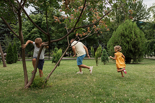 Barnegat Tree Company Says Proactive Tree Care Matters